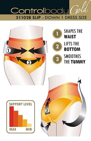 Control Body 311028 Shaping Brief Skin Control Body 311028 Shaping Brief Skin