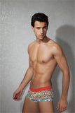 Lollipop Boxer 1845