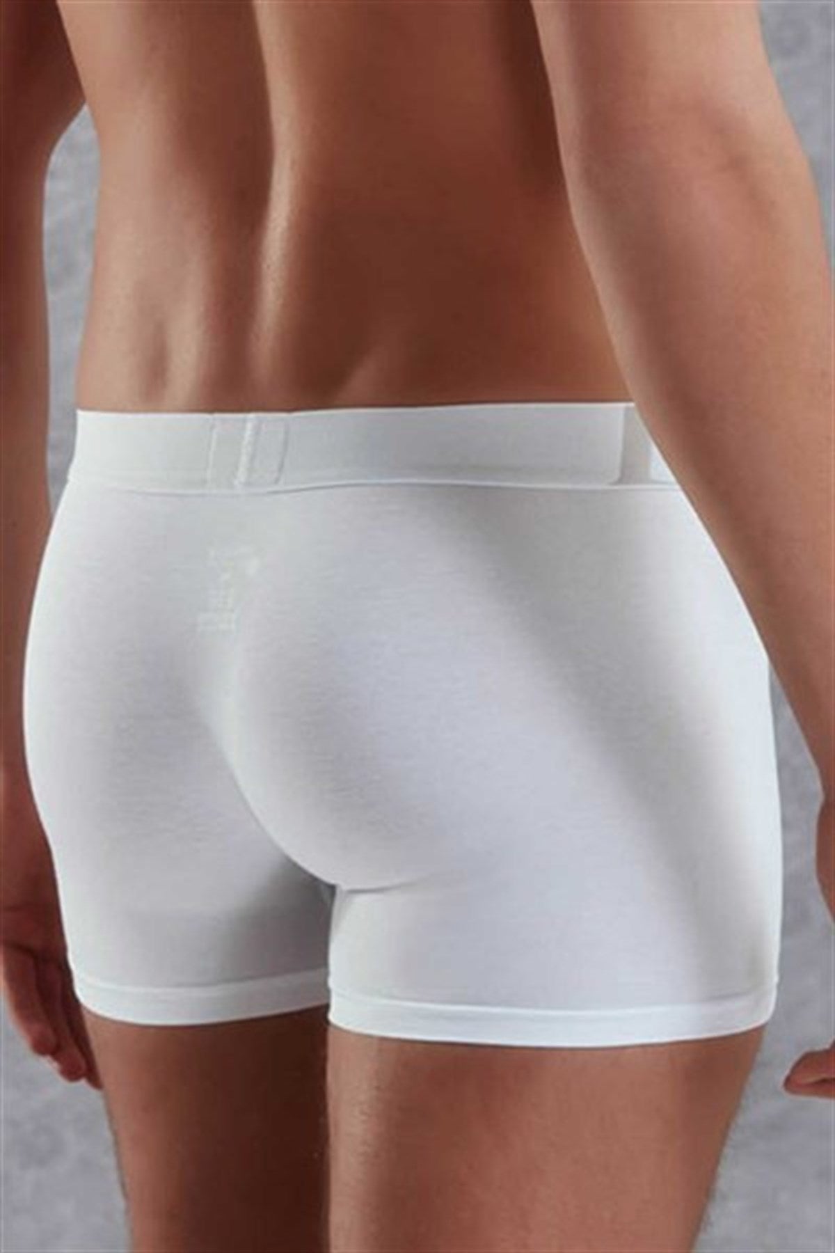 Men's Modal Regular Leg Boxer 1777 P