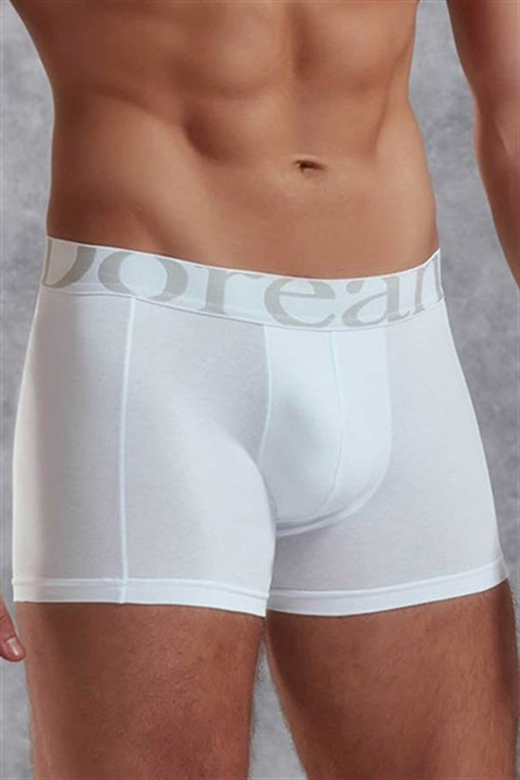 Men's Modal Regular Leg Boxer 1777 P