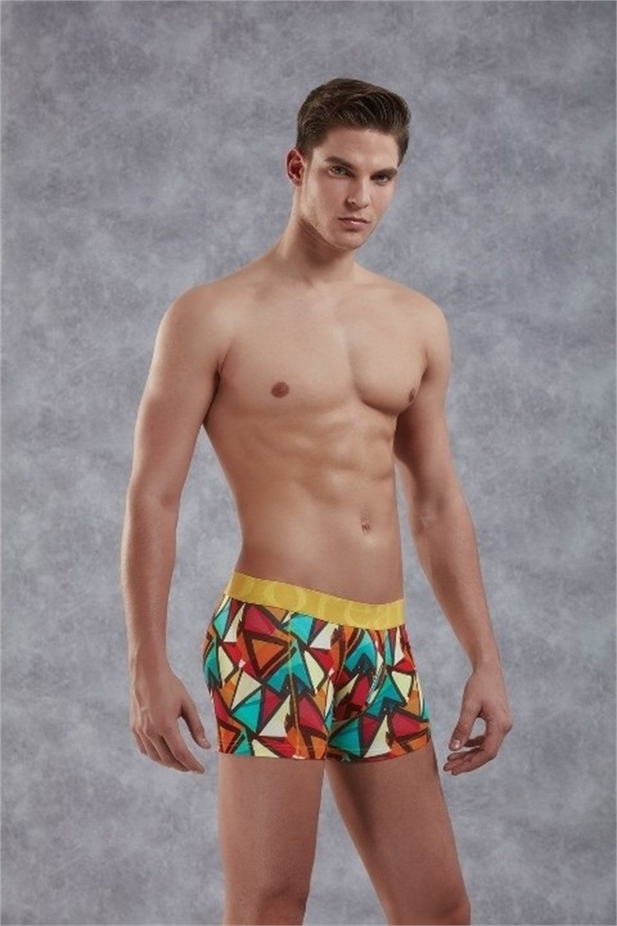 Prisma Patterned Men's Boxer 1873