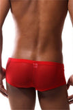 Sexy Herren Boxer 1584