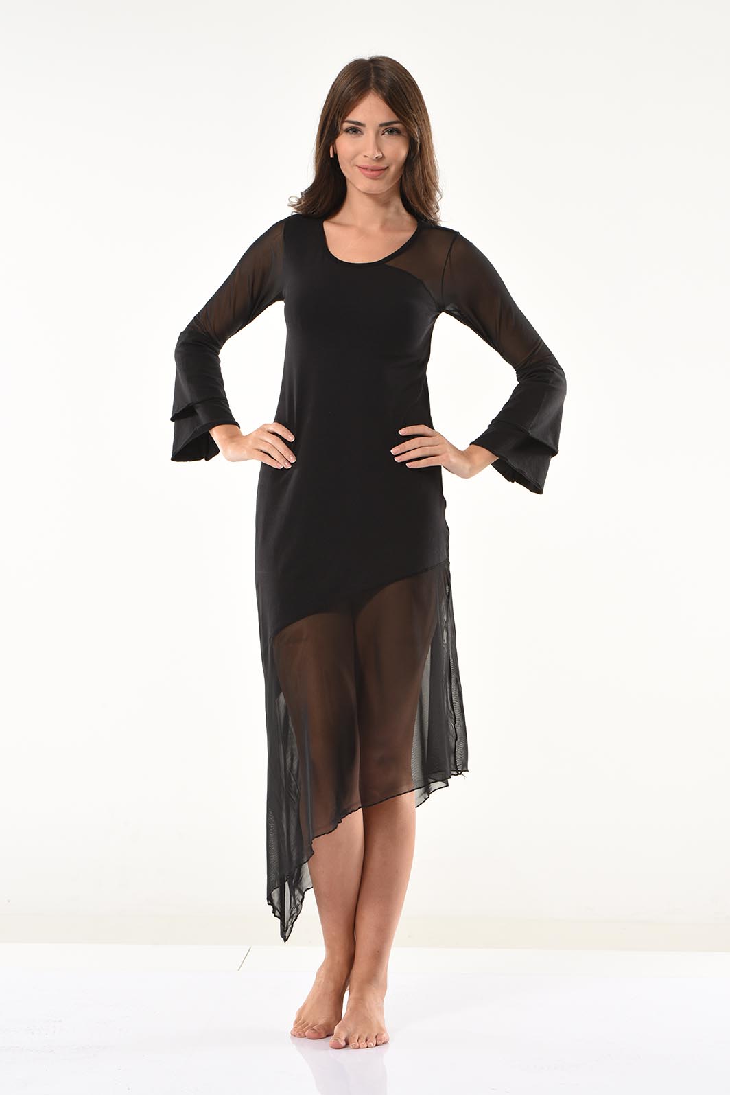 Transparent Detailed Long Dress 958