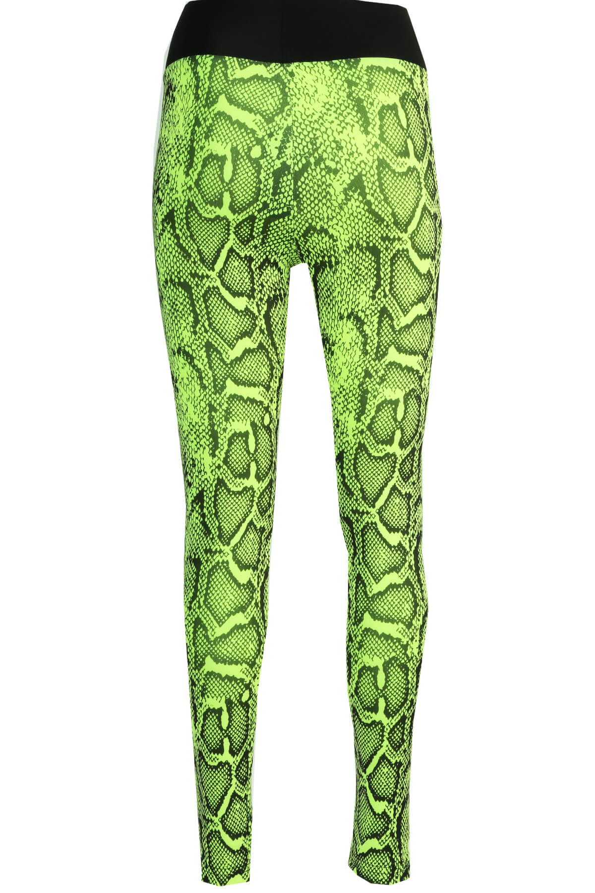 Trend Leggings Leggings Trnd02