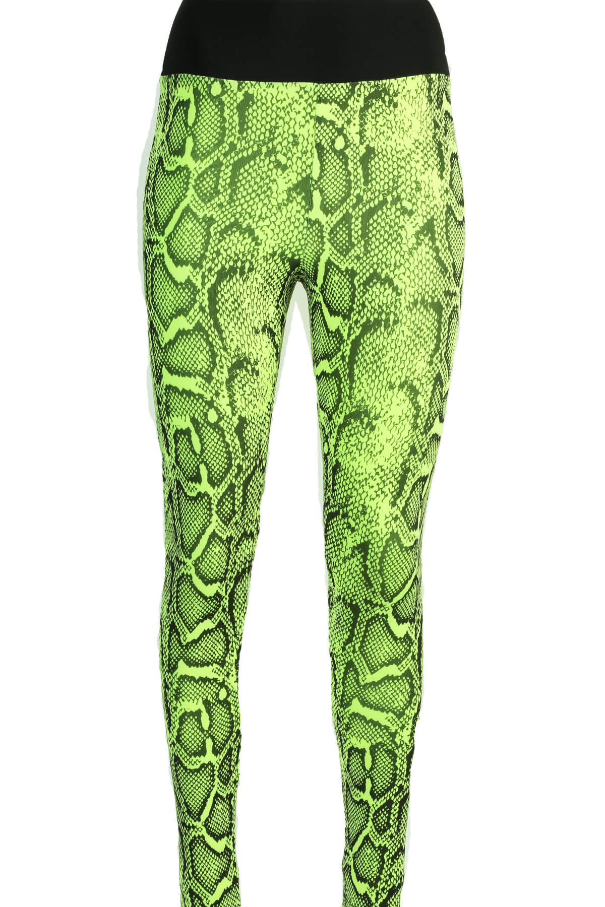 Trend Leggings Leggings Trnd02