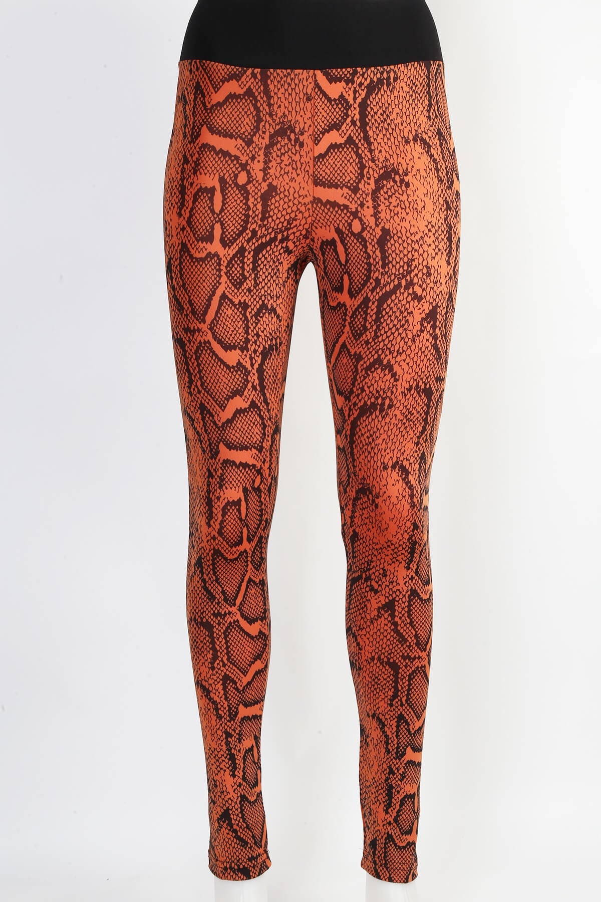 Trend Leggings Leggings Trnd03