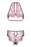 Beauty Night BN6570 Jordana Teddy Purple